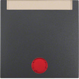 Berker 16281606 Wippe m. 5 beiliegenden Linsen und Beschriftungsfeld S.1/B.3/B.7 anthrazit. matt