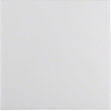 Berker 16298989 Wippe mit Befestigungsstück S.1 IP44 polarweiß glänzend