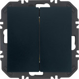 Berker 24121636 Friends of Hue Tasten mit Wippe 2fach. B.x. anthrazit samt