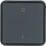 Berker 30423545 Wippe 1fach für W.1 Taster-BA.Bedruckung oben 0/unten 1.grau