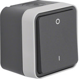 Berker 30723505 Ausschalter 2-polig mit Aufdruck 0und AP W.1 grau LT