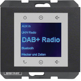 Berker 30847006 Radio Touch UP DAB+. Bluetooth K.x anthrazit matt