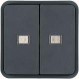 Berker 30863555 Wippe 2fach. für W.1 Taster-BA.mit zwei Linsen.grau