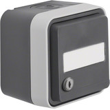 Berker 47893505 Steckdose Schuko mit Klappd.. Beschriftungsfeld. gl. Schließung AP W.1 grau