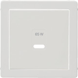 Berker 48606089 Zentralstück für USB Q.x. polarweiß samt