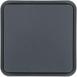 Berker 6130763545 Wippe 1fach für W.1 Taster-BA. grau