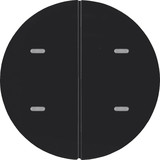 Berker 80162865 Tastsensor 2fach Komfort KNX R.x schwarz glänzend