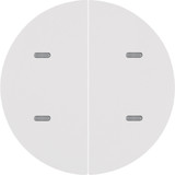 Berker 80162869 Tastsensor 2fach Komfort KNX R.x polarweiß glänzend