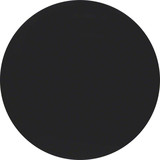 Berker 85141131 Taste 1fach R.1/R.3 schwarz. glänzend