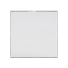 Busch-Jaeger Zentralscheibe mit Beschriftungsfeld 2CKA001582A0355 1576 CN-84