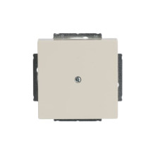 Busch-Jaeger Blindzentralscheibe mit Tragring 2CKA001710A3143 1742-82