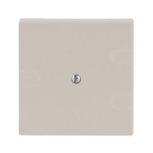 Busch-Jaeger Zentralscheibe Für Telefonverbindungsdose (VDo) 2CKA001710A3155 1745-82