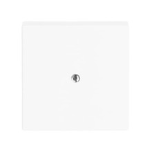 Busch-Jaeger Zentralscheibe Für Telefonverbindungsdose (VDo) 2CKA001710A3173 1745-84