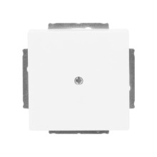 Busch-Jaeger Blindzentralscheibe mit Tragring 2CKA001710A3873 1742-884