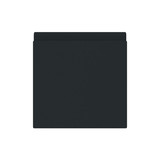 Busch-Jaeger Zwischenring mit Klappdeckel für Zentralscheiben Busch-balance SI 2CKA001719A0182 2518-WD-45M