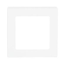 Busch-Jaeger Zentralscheibe Infolicht 2CKA001731A1923 1716-84