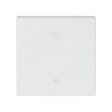 Busch-Jaeger 2570-10-884 Wippe Elektroniktaster 2CKA001751A3260 2570-10-884