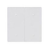 Busch-Jaeger 2570-20-884 Wippe 2-fach Elekroniktaster 2CKA001751A3271 2570-20-884