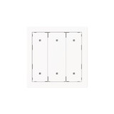 Busch-Jaeger Wippe für Elektroniktaster 3-fach mit transparenten Kalotten Busch-art linear 2CKA001751A3330 2570-30-44M