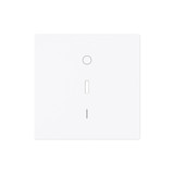 Busch-Jaeger Wippe mit Aufdruck Symbol 0 und 1 mit kleiner roter Kalotte für 2CKA001751A3353 1788-44G