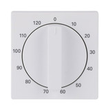 Busch-Jaeger Zentralscheibe mit Drehknopf, mit Aufdruck 2CKA001753A0303 1771-884-103