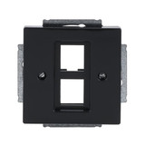 Busch-Jaeger Zentralscheibe 2CKA001753A0317 2561-02-81