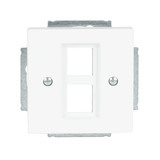 Busch-Jaeger Zentralscheibe 2CKA001753A0396 2561-02-884