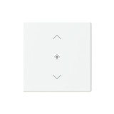 Busch-Jaeger Abdeckung als Wippe 1-fach mit Symbol Dimmen Format 63 - solo/future 2CKA006199A0194 LFDW/A.1.63.11-84