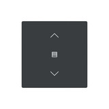 Busch-Jaeger Abdeckung als Wippe 1-fach mit Symbol Dimmen Format 63 - solo/future 2CKA006199A0199 LFJW/A.1.63.11-81