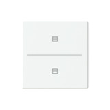 Busch-Jaeger Abdeckung als Taster 2-fach mit Symbol Jalousie Format 63 - solo/future 2CKA006199A0227 LFJT/A.2.63.11-884