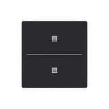 Busch-Jaeger Abdeckung als Taster 2-fach mit Symbol Jalousie Format 63 - solo/future 2CKA006199A0228 LFJT/A.2.63.11-885