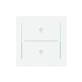 Busch-Jaeger Abdeckung als Taster 2-fach mit Symbol Beleuchtung studioweiß matt 2CKA006199A0397 LFBT/A.2.70.11-44M