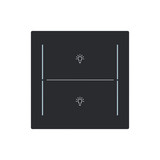 Busch-Jaeger Abdeckung als Taster 2-fach mit Symbol Beleuchtung Busch-art linear 2CKA006199A0429 LFBT/A.2.70.11-45M