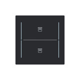 Busch-Jaeger Abdeckung als Taster 2-fach mit Symbol Jalousie Busch-art linear 2CKA006199A0430 LFJT/A.2.70.11-45M