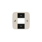 Busch-Jaeger Zentralscheibe für Fan Coil-Regler 2CKA006220A0251 6236-212