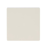 Busch-Jaeger Wippe 1-fach, ohne Bedruckung 2CKA006220A0396 6230-10-82