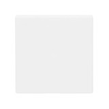 Busch-Jaeger Wippe 1-fach, ohne Bedruckung 2CKA006220A0481 6230-10-884