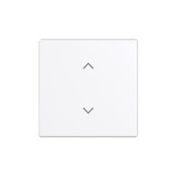 Busch-Jaeger Wippe 1-fach, mit Symbol Jalousie Format 63 2CKA006220A0988 6735-11-84