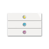 Busch-Jaeger Bedienelement 3-fach Busch-priOn 2CKA006310A0121 6342-24G-101