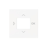 Busch-Jaeger Zentralscheibe mit Aufdruck Symbole Pfeile und OK für Zeitschaltuhr 2CKA006430A0451 6435-44M