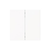 Busch-Jaeger Wippe 2-fach Smart Switch 2CKA006730A0167 6736 FoH-44M