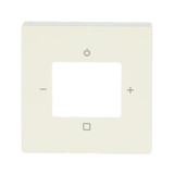 Busch-Jaeger Zentralscheibe 2CKA008200A0250 8252-82-101