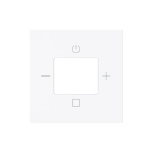 Busch-Jaeger Zentralscheibe mit Aufdruck Busch-Radio studioweiß - Busch-art linear 2CKA008200A0285 8252-44G-101