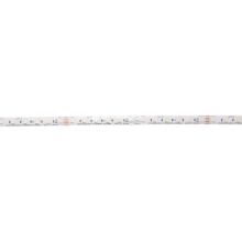 Dotlux 5221-0RGBW5M LED-Streifen 96W 14mm RGBW IP66 5m-Rolle inkl. 50cm Anschlusskabel beidseitig