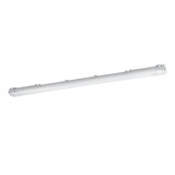 Eglo LED Feuchtraumleuchte Basic 2-flammig G13 2x 15W neutralweiss 4000K IP65 Grau Transparent 126x10cm 901542