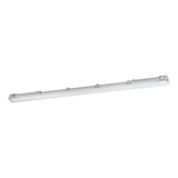 Eglo LED Feuchtraumleuchte Basic Plus 2-flammig G13 2x 15W neutralweiss 4000K IP65 Grau Transparent 126x10cm 901547