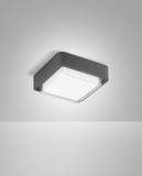 Fabas Luce DIUK DARK GREY LED Deckenleuchte 12W warmweiß Dunkel Grau 6548-61-294
