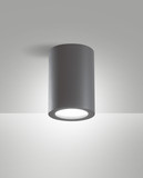 Fabas Luce MANU DARK GREY E27 Deckenleuchte Dunkel Grau 6565-61-294