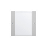 Gira 2131015 Wippenset 1-fach Beschriftungsfeld System 55 Klar/Grau m