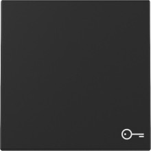 Gira 3287005 Wippe Symbol Tür System 55 Schwarz m